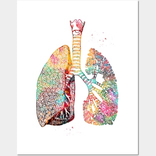 Lungs Art Posters and Art